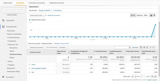 Google Analytics Panoramica Ricerche sul sito