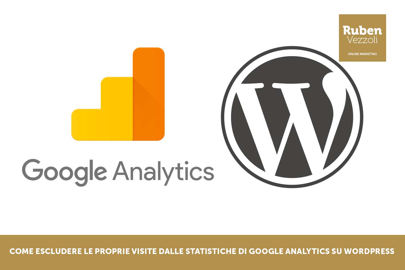 escludere proprie visite google analytics su wordpress